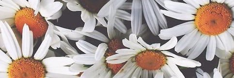 valewerner1's profile banner image