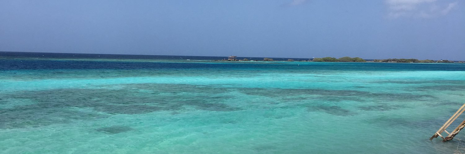 The Stock Hawk banner