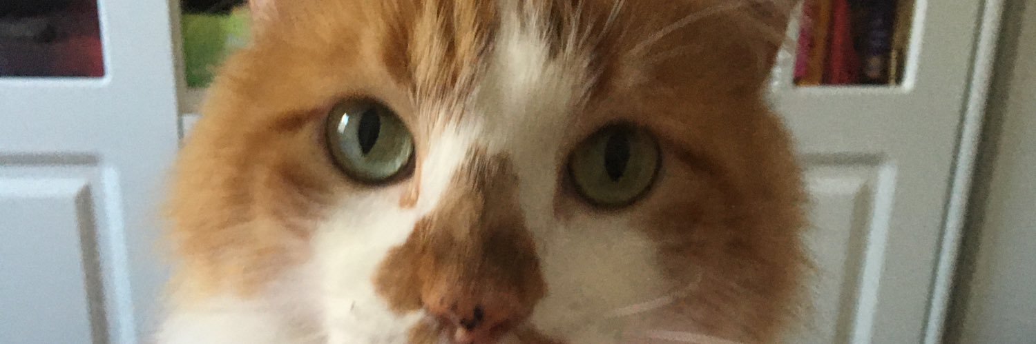 melmesb's profile banner image