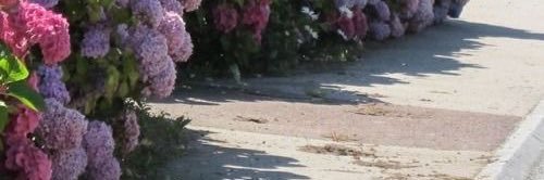 DesiJimenez's profile banner image
