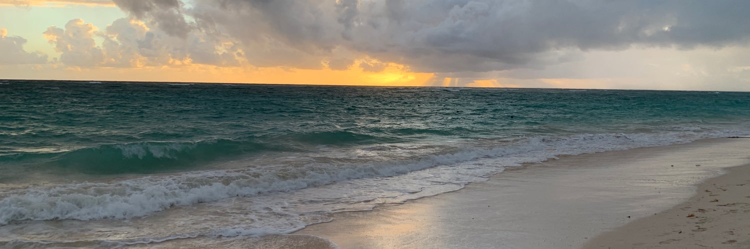 Ulana Soletsky banner