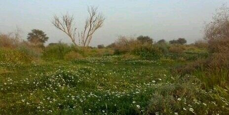 ziad1314's profile banner image