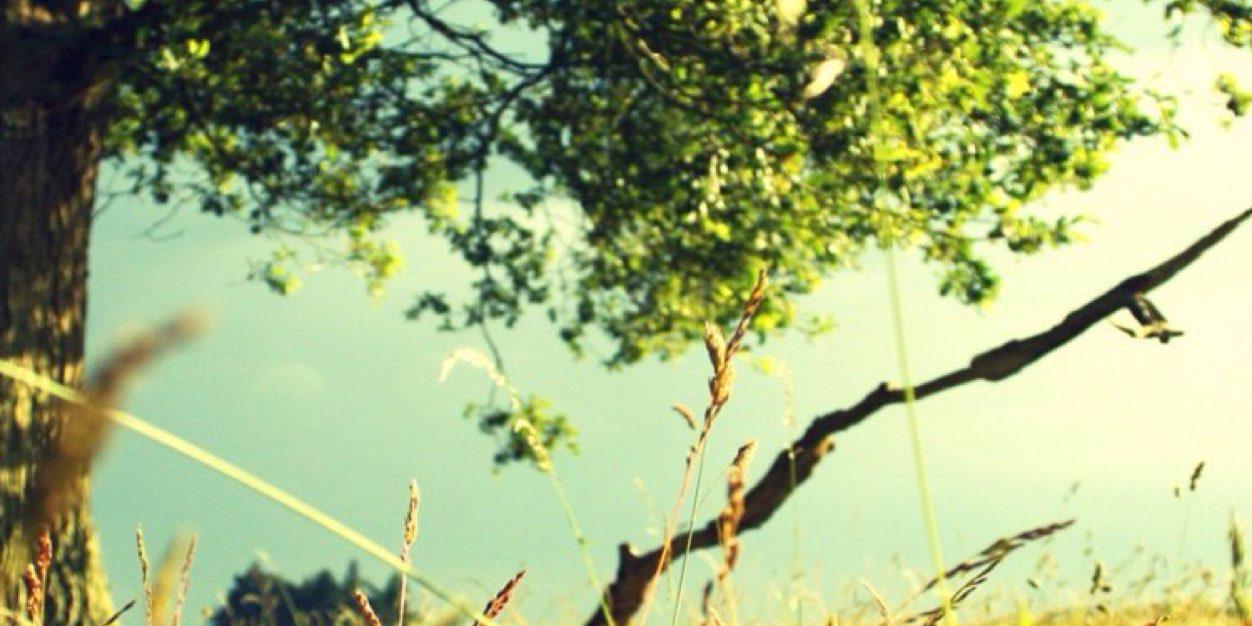 DrFornix's profile banner image