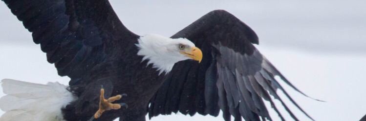atakaanylmz's profile banner image