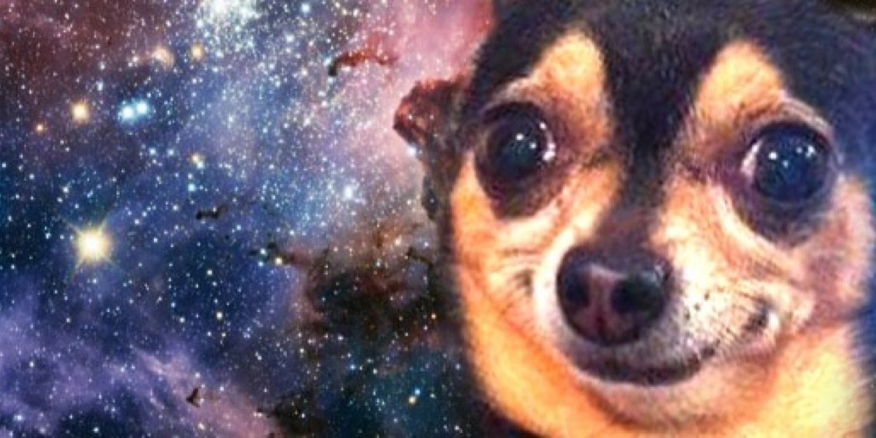 snuserik's profile banner image