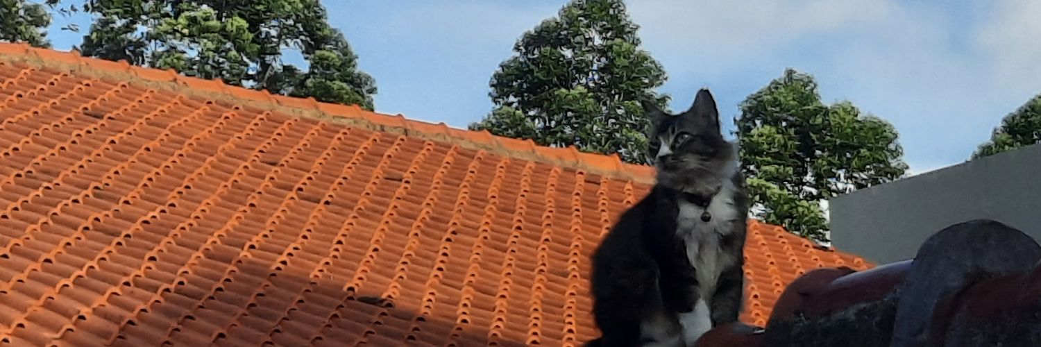 bilahcs's profile banner image