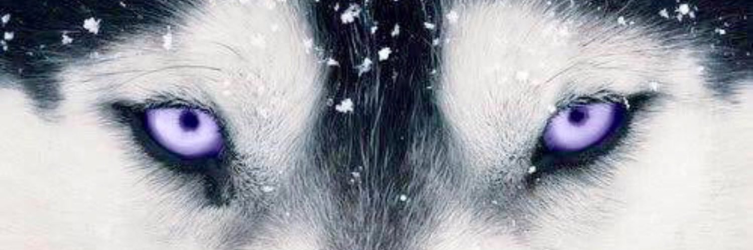 MP9 Drops Dimes banner