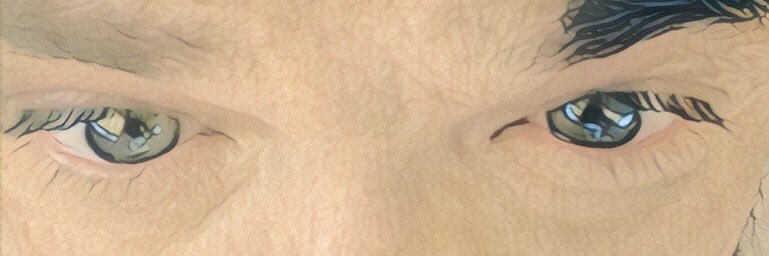 nicola alberti banner