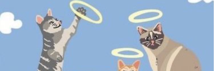 nybmy's profile banner image