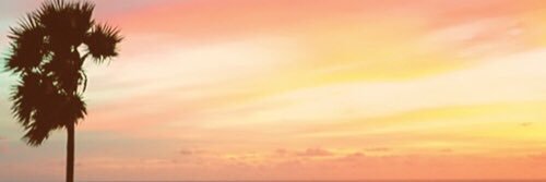 fiafiax3's profile banner image