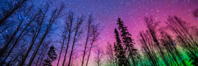 hannahloomes_'s profile banner image