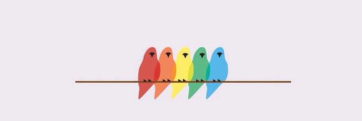 ece_kocak's profile banner image