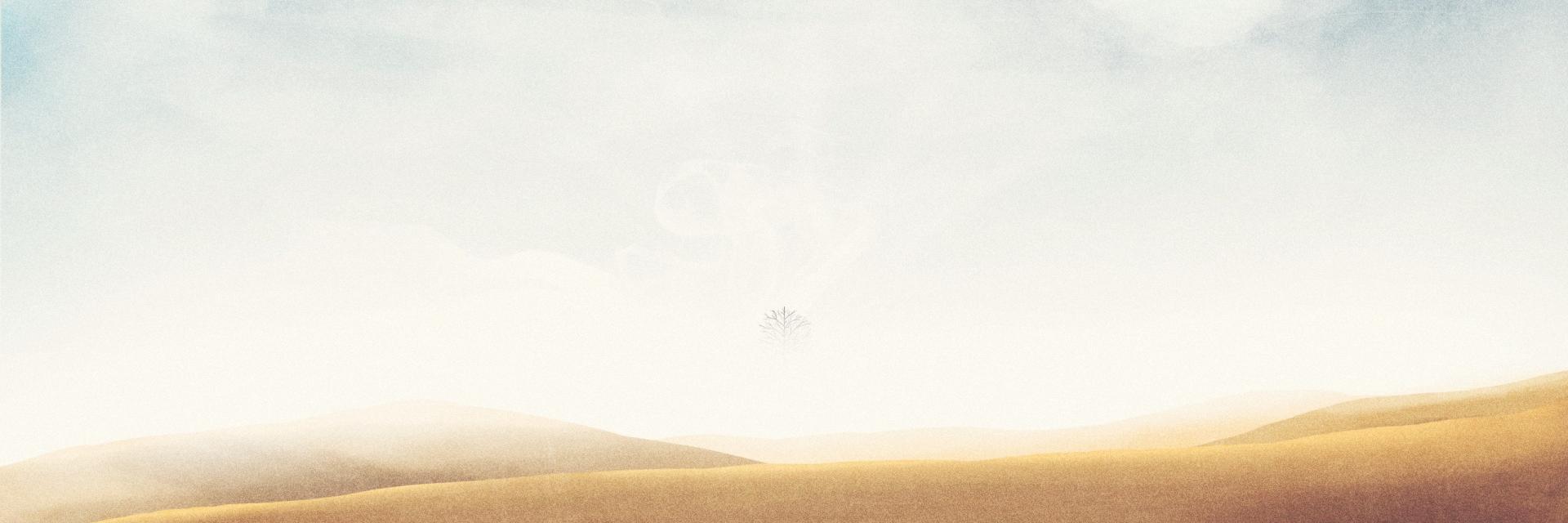 VetleHope's profile banner image