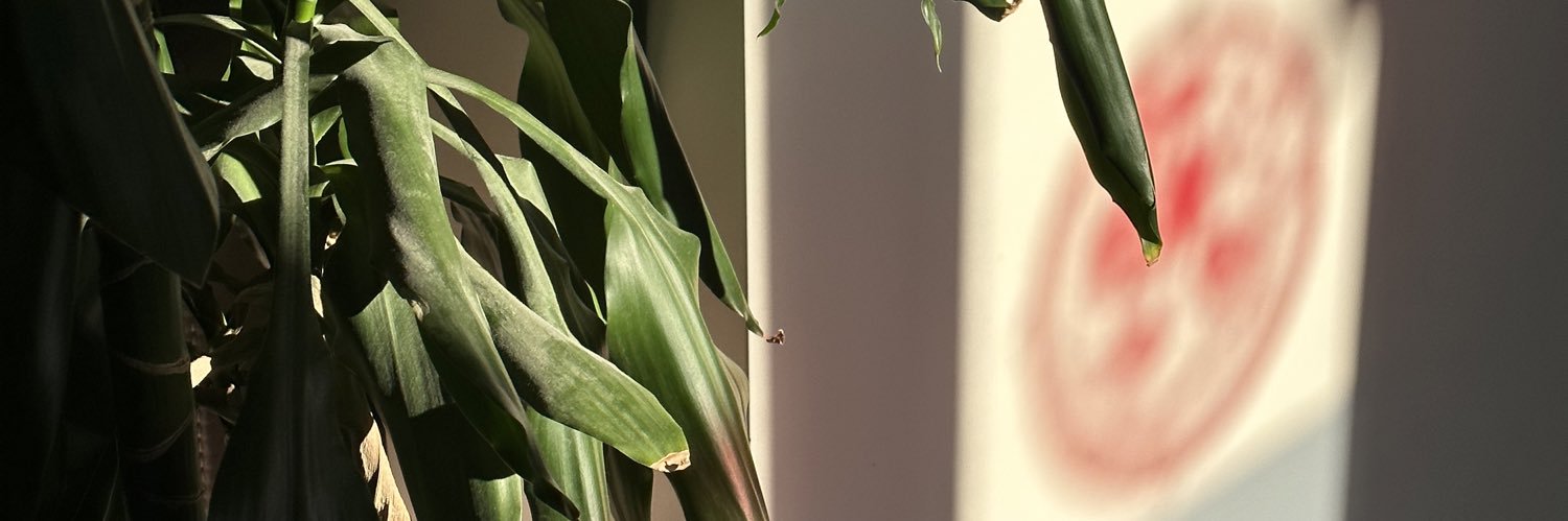 fbnlgs's profile banner image