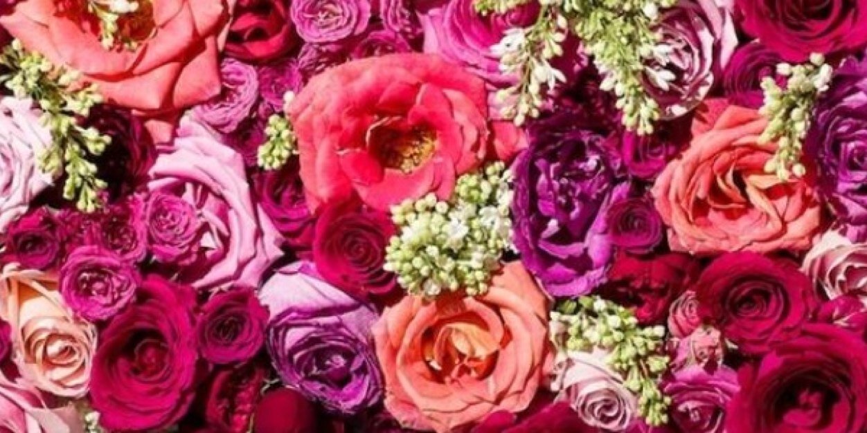 paula_morrod's profile banner image