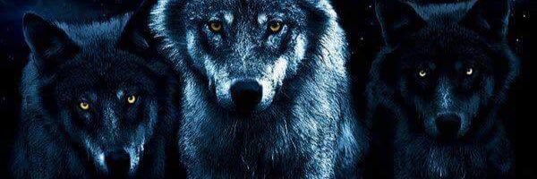 HELL_LLEY_MS13's profile banner image