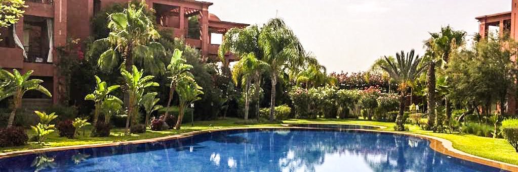 زهير باشا banner