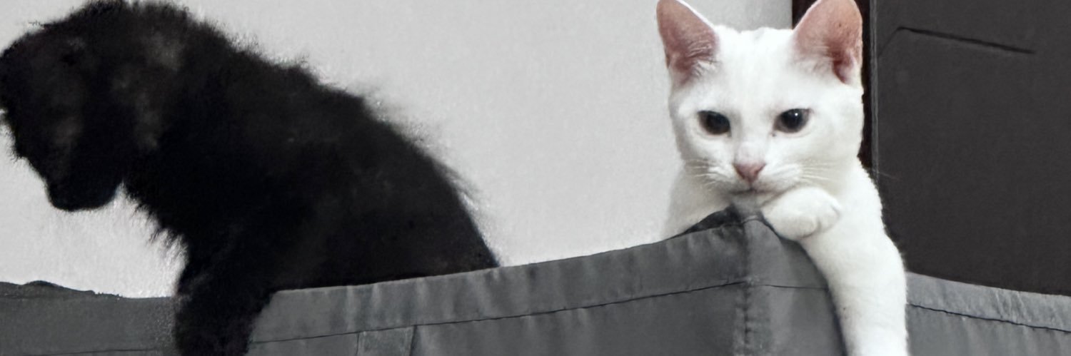 Feras_Pal's profile banner image