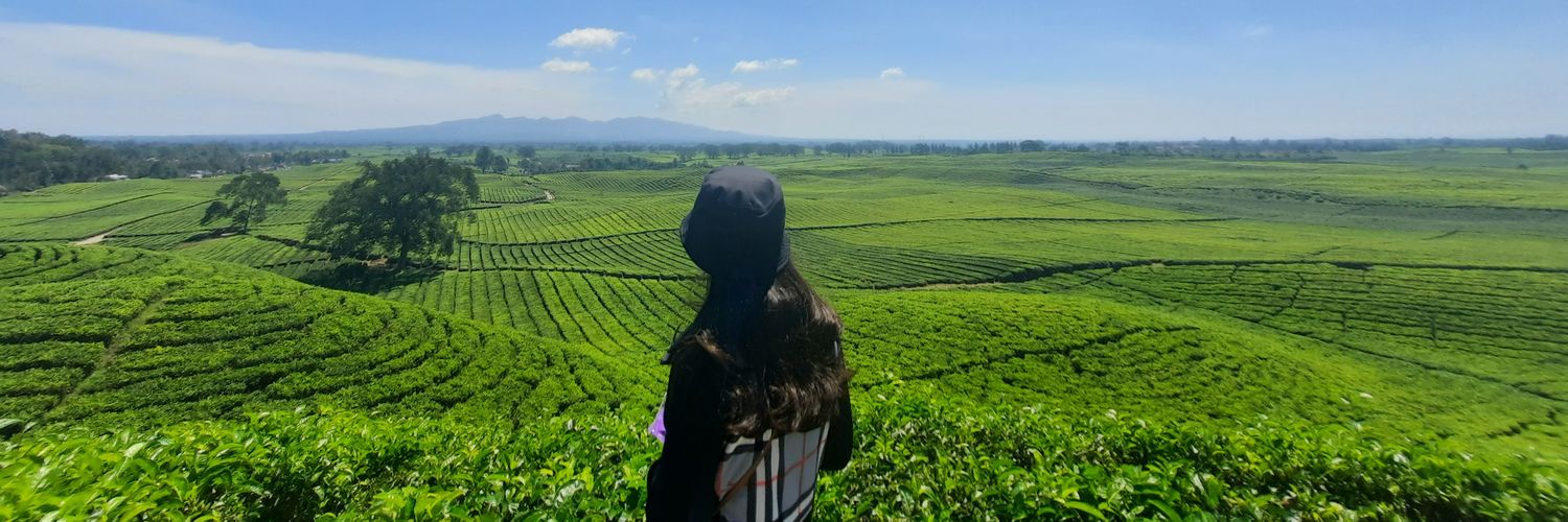 dinda_gulo's profile banner image