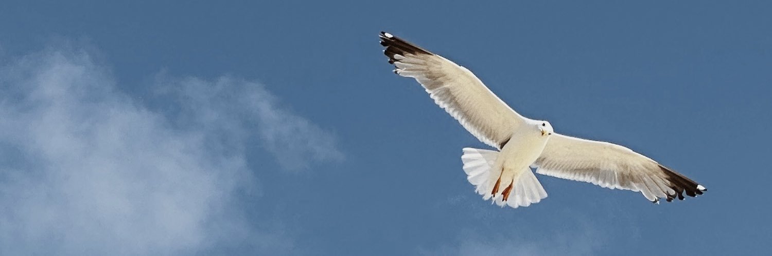 alpben11's profile banner image