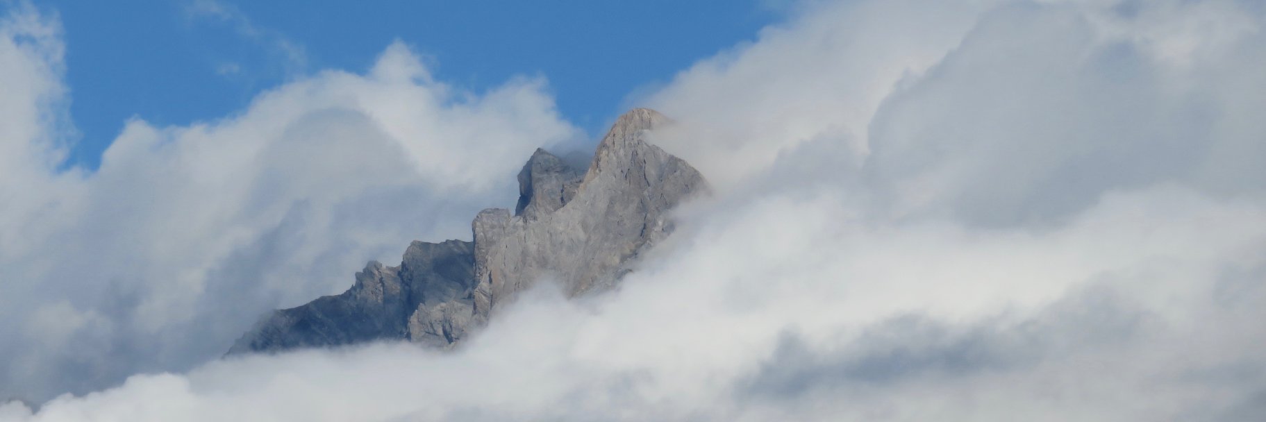 FavezJeanMichel's profile banner image