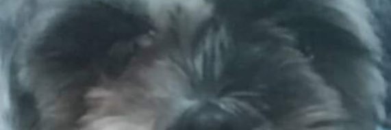 Matotaaa's profile banner image