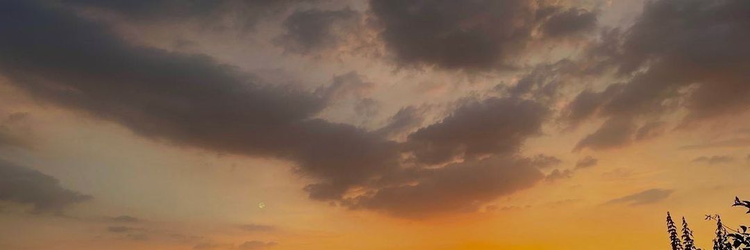 dita960102's profile banner image