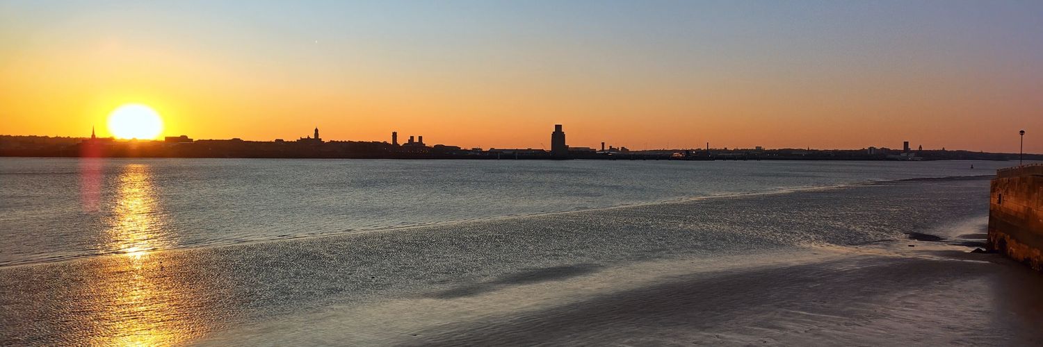 Stephen Ibbotson banner