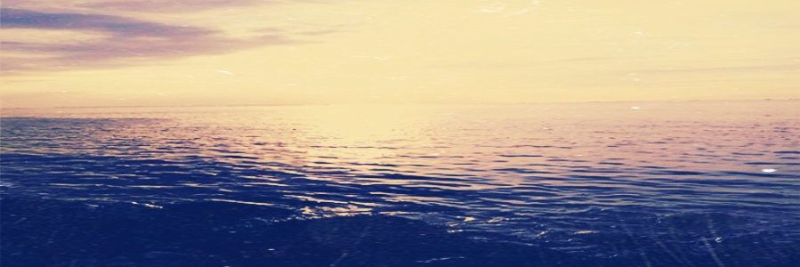 Jammer_Hunts's profile banner image