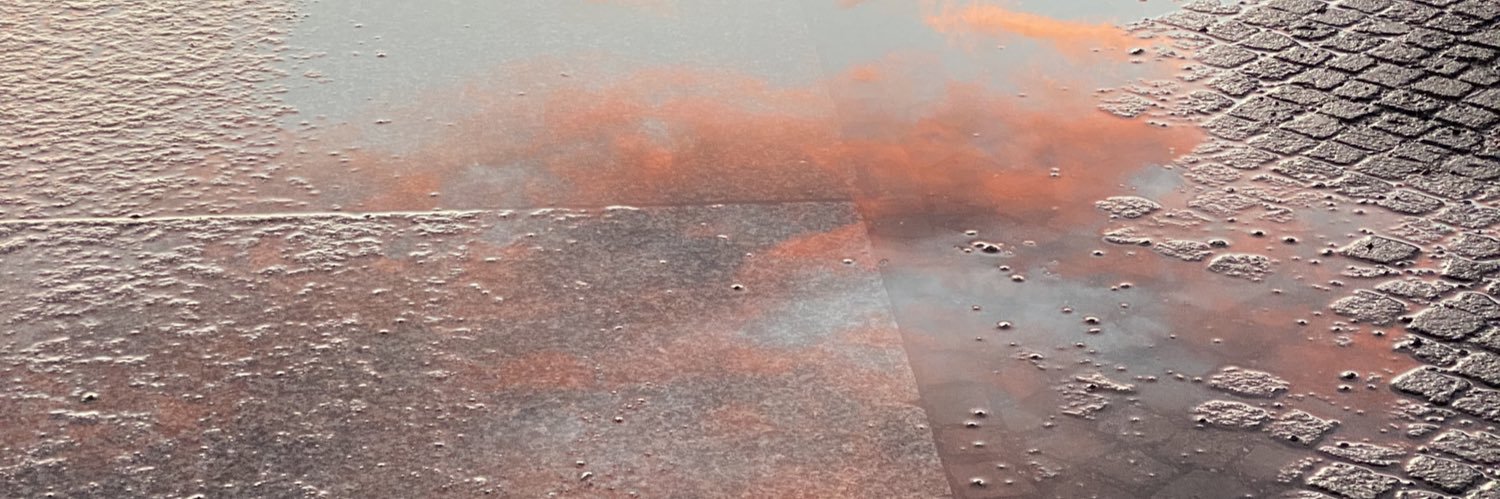 Anne-Christine Merholz banner