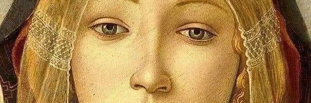 StefanoPonzi's profile banner image