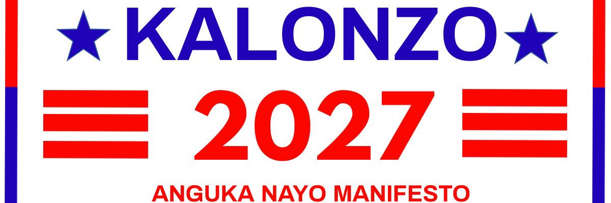 Young Wiper Patriots banner