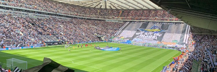 David Lamb 💙 banner