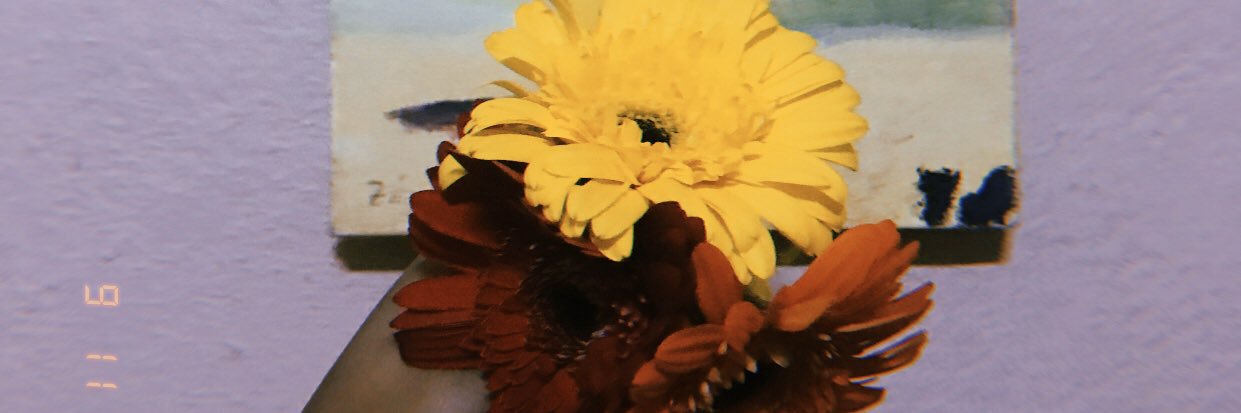 LuisadeLua's profile banner image