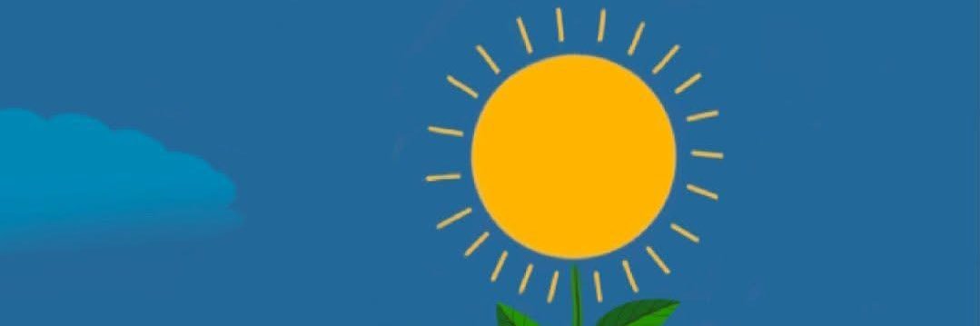 AliAlimelek's profile banner image