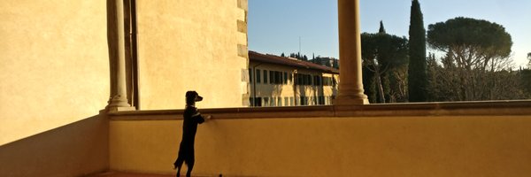 jschultecloos Profile Banner