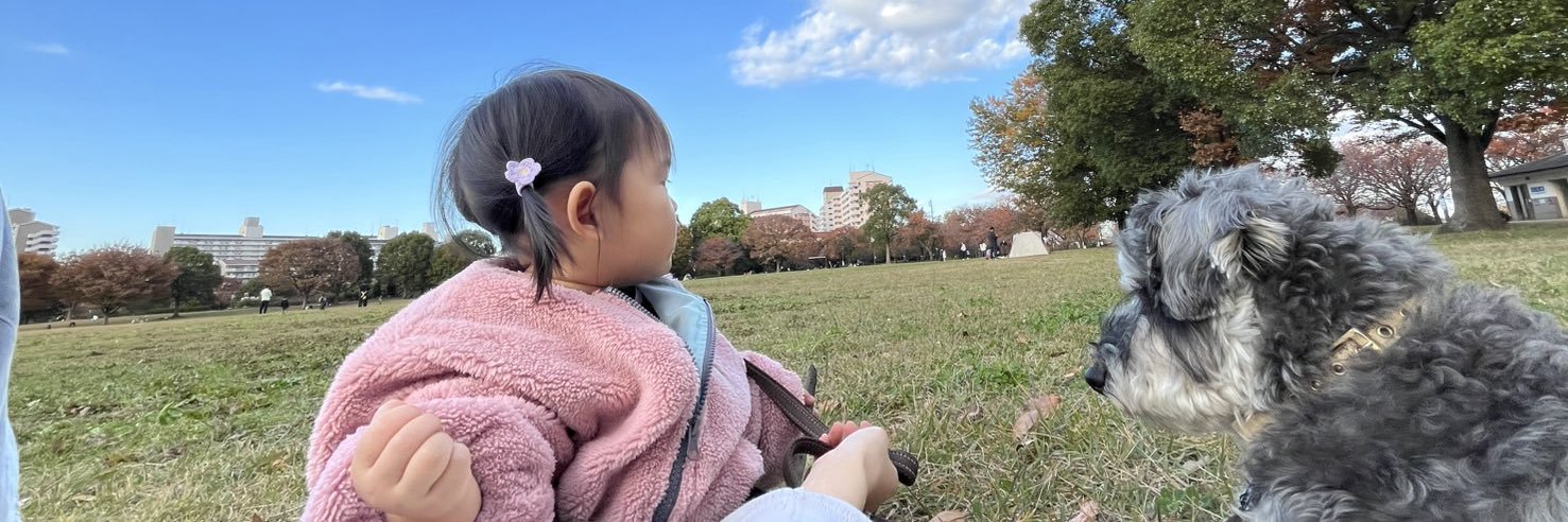 秋本雄基【アナログスイッチ】 banner