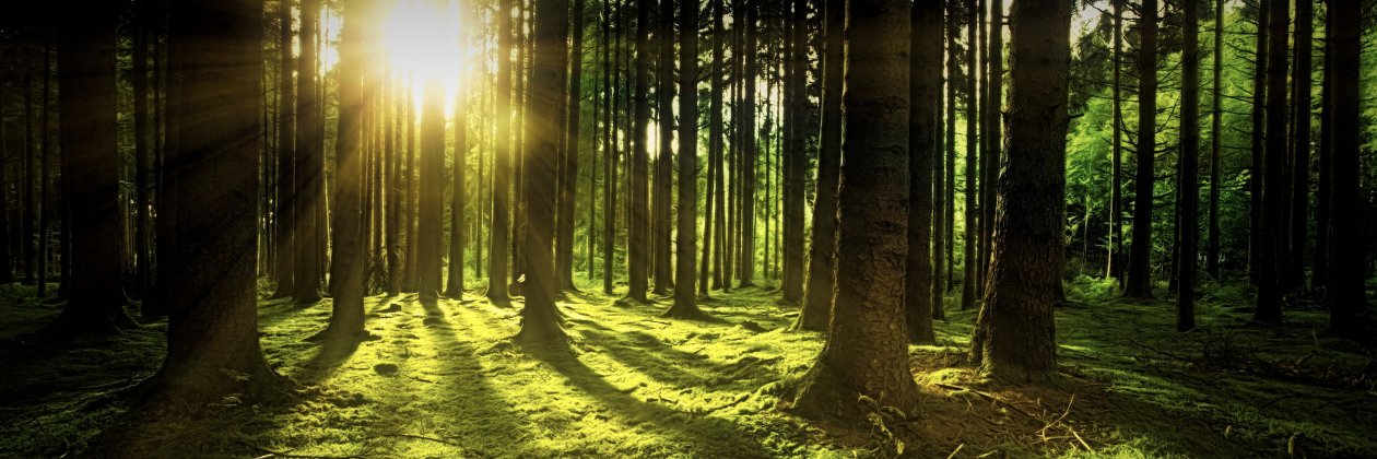 OU_natuur's profile banner image