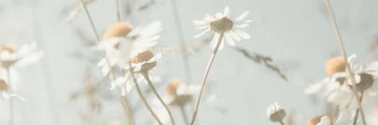 unyunn's profile banner image