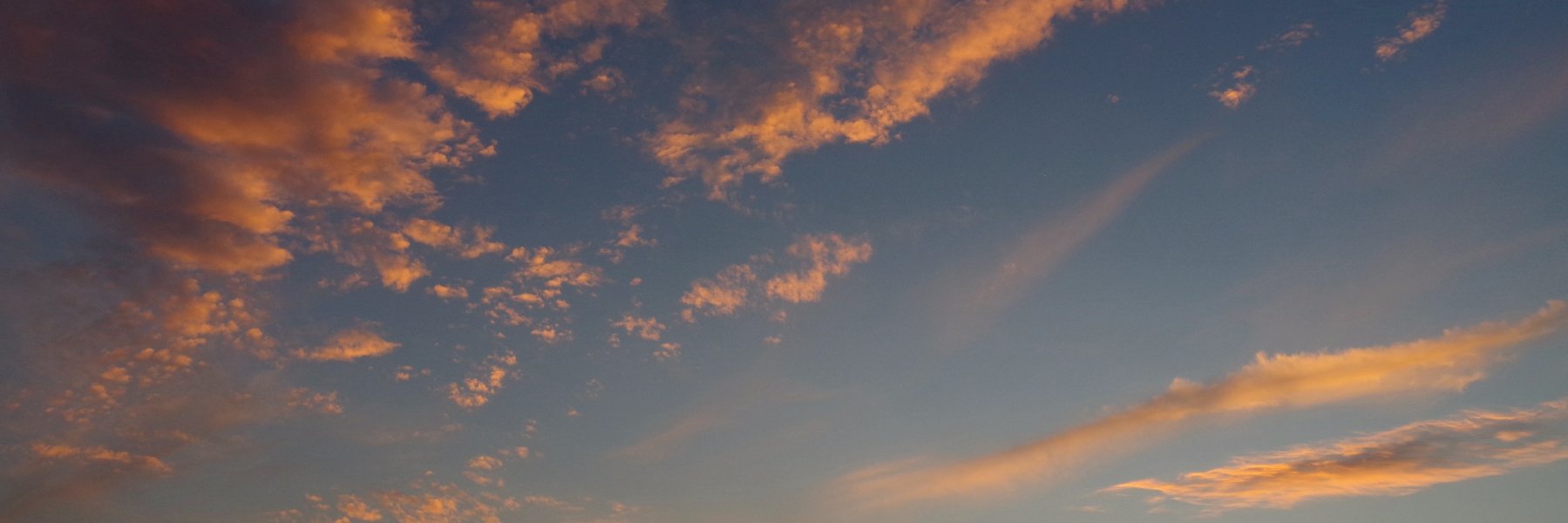 michele_salmi's profile banner image