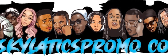 skylatics's profile banner image