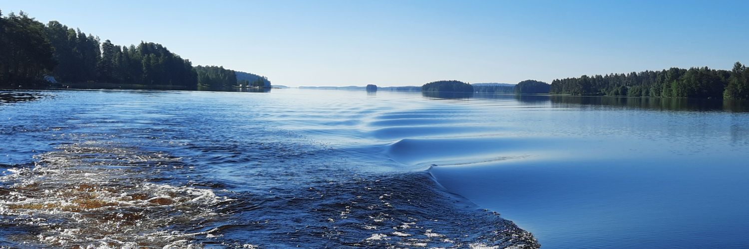 Niilo Simojoki 🇫🇮🇪🇺🇺🇦 @nsimojoki.bsky.social banner