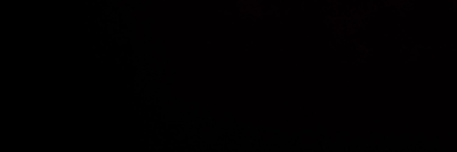 HellRaiserlsfk's profile banner image