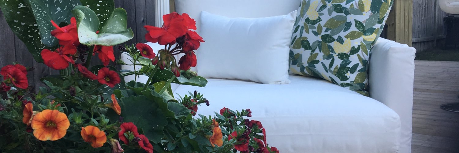 soojandra's profile banner image