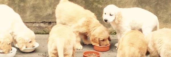 CarolineO_SW's profile banner image