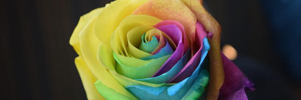 SmilePiper Profile Banner