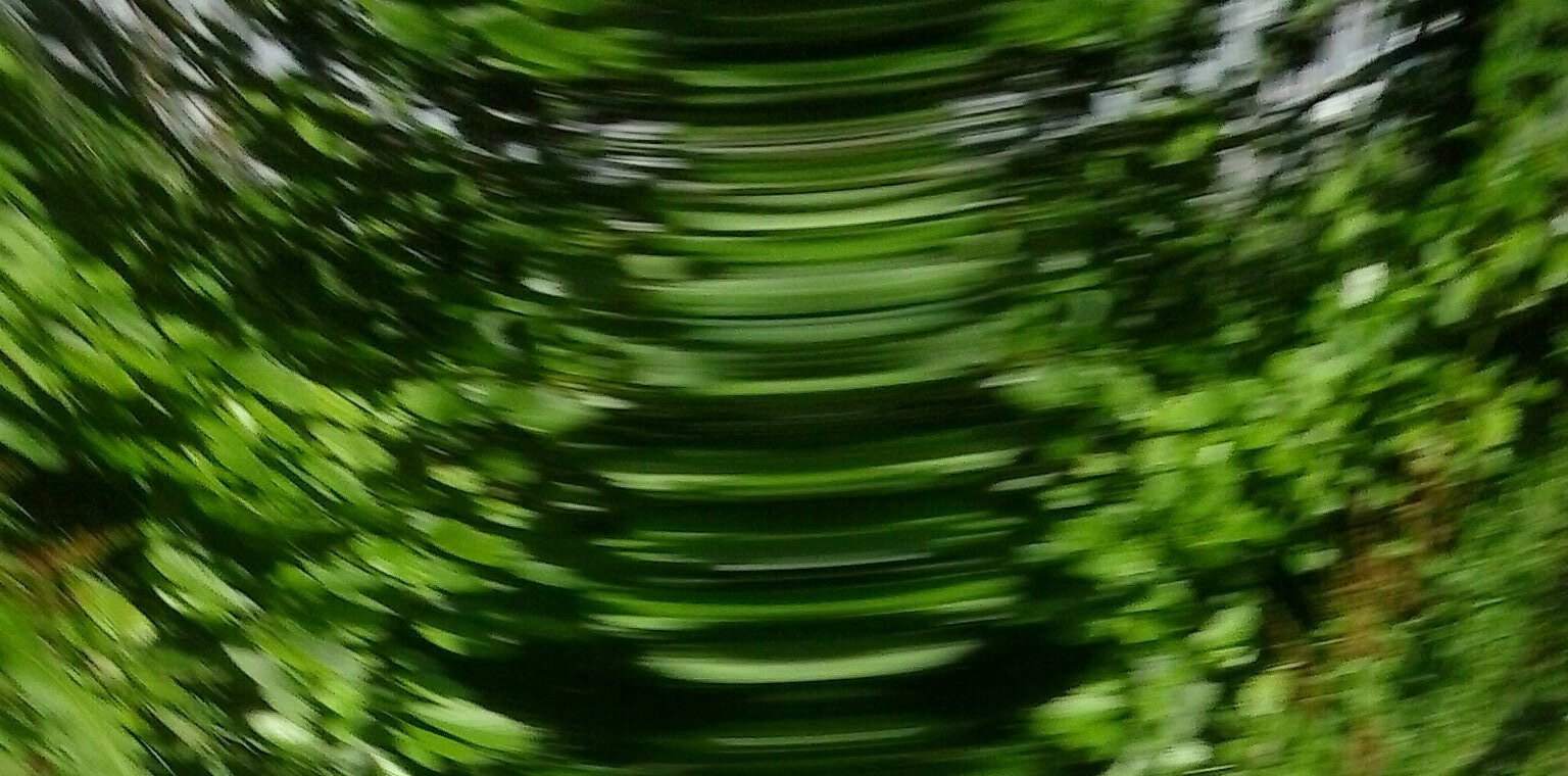 corymcguire1's profile banner image