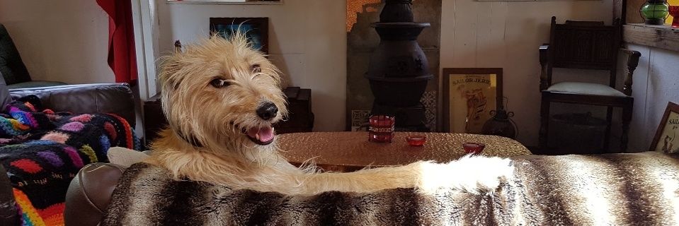 cfeegan's profile banner image