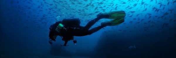 chiledivers Profile Banner