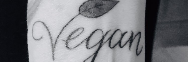 yokastek's profile banner image